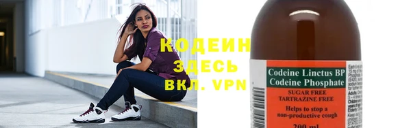 прущие грибы Абаза