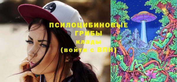 прущие грибы Абаза