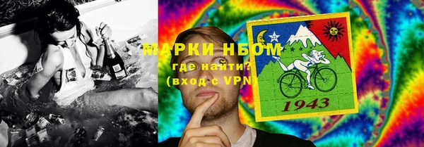 прущие грибы Абаза