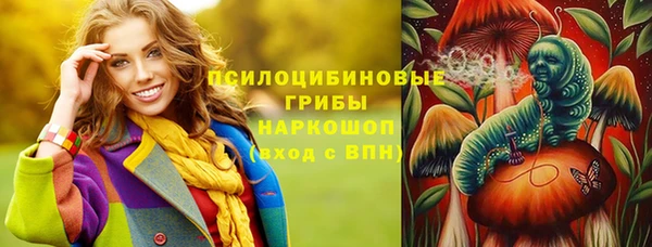прущие грибы Абаза