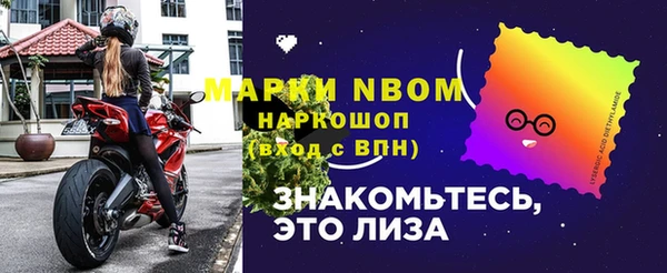 прущие грибы Абаза