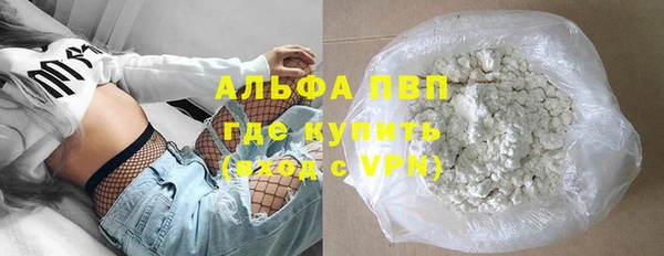 прущие грибы Абаза