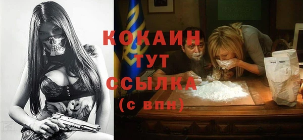 прущие грибы Абаза