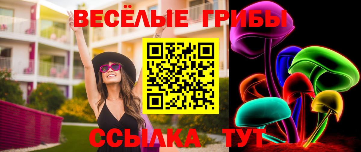 Псилоцибиновые грибы прущие грибы  Вход с VPN  Ярославль 