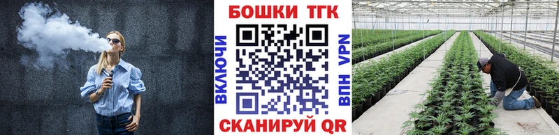 Бошки Шишки SATIVA & INDICA  как найти наркотики  Ярославль 